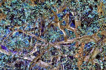 T 075L